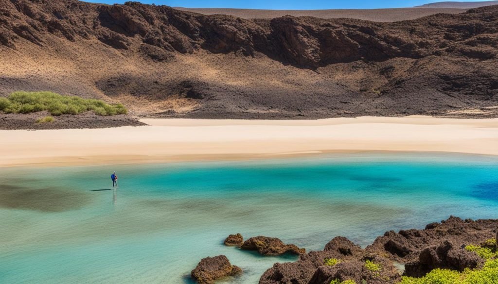 April allure in Fuerteventura