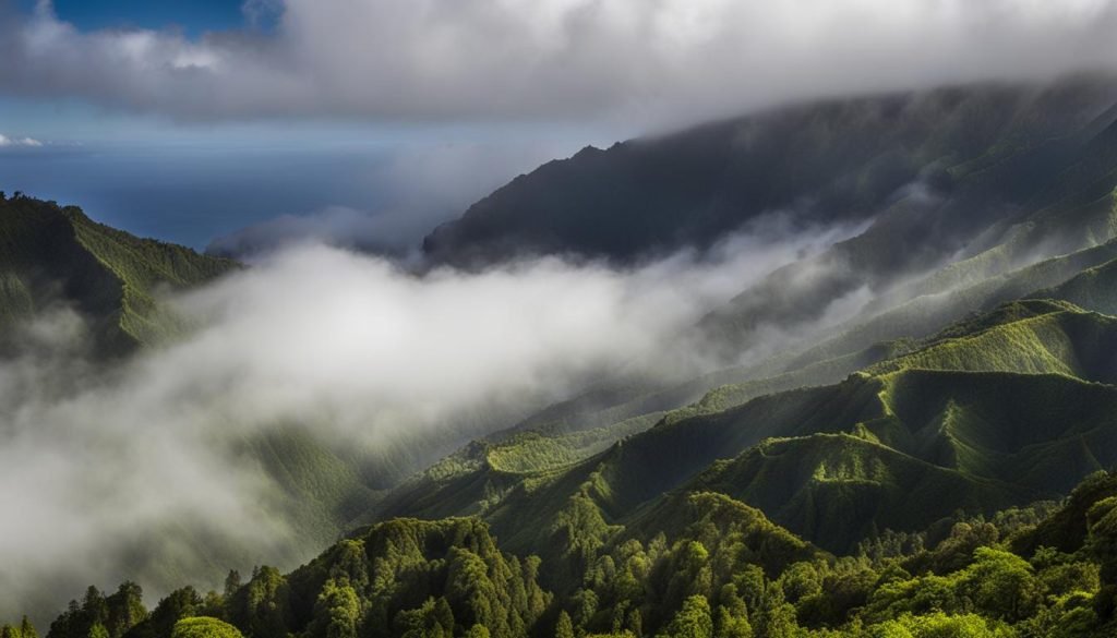 Average Precipitation in La Palma