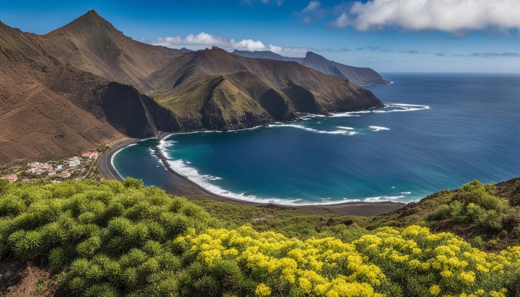 Climate in La Gomera in January