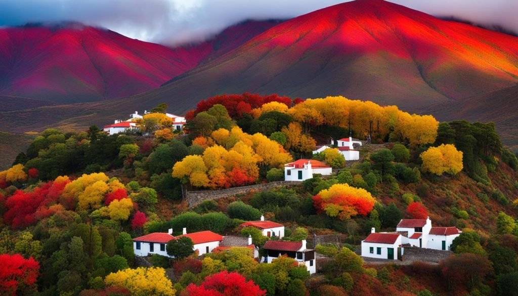 El Pinar de El Hierro in November