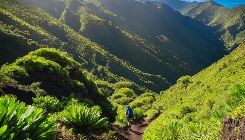 La Gomera Walking Holidays