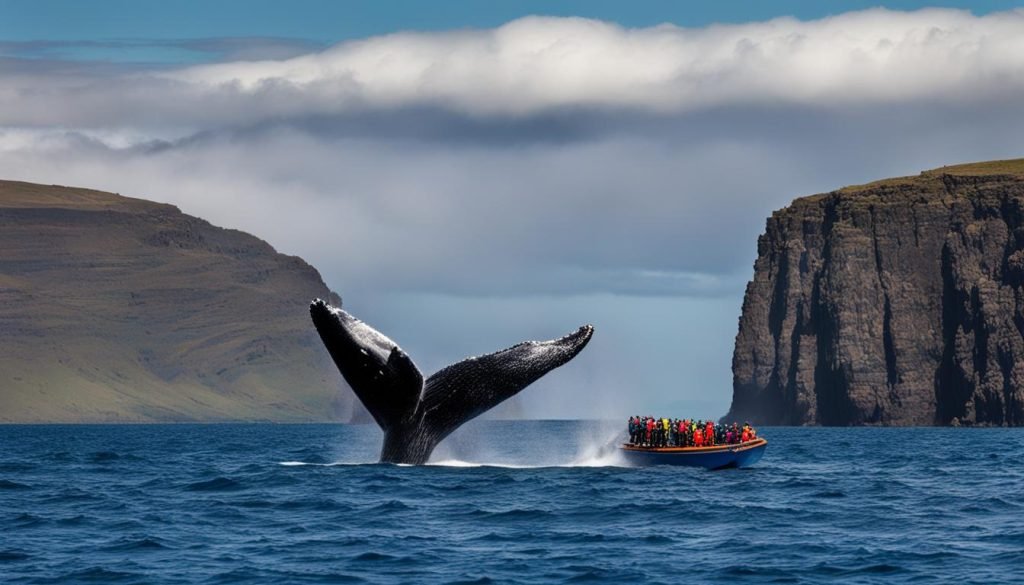 La Gomera Whale Watching