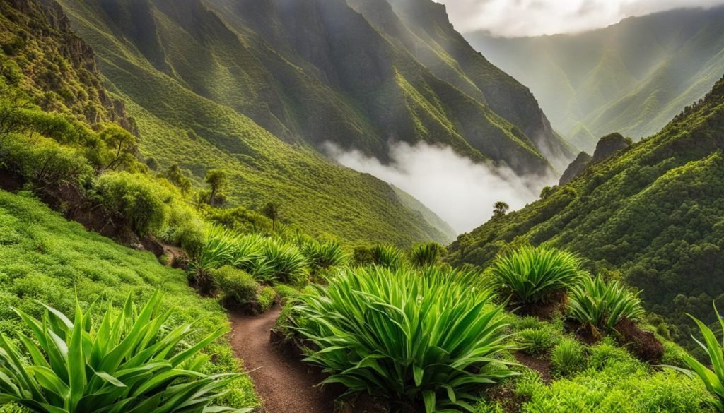 La Gomera hiking trails