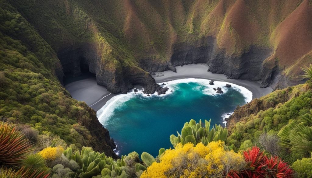 La Palma Attractions