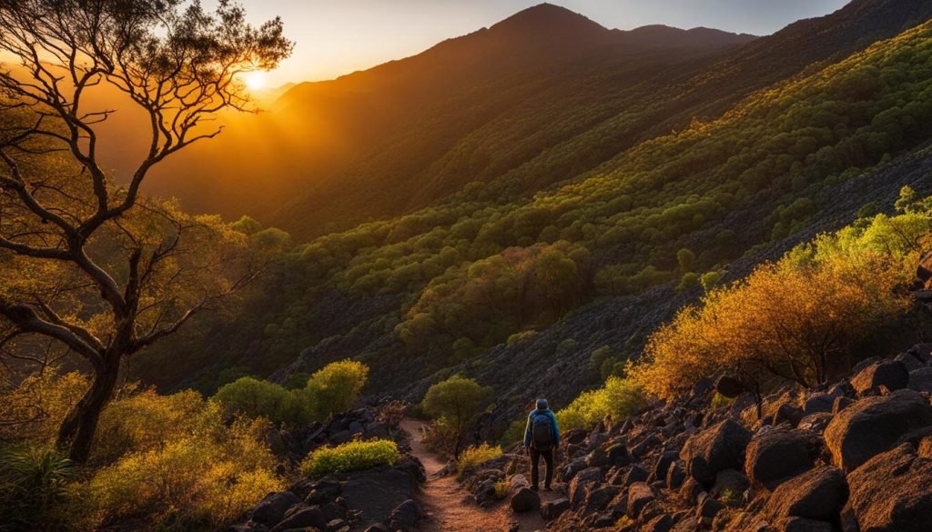 hiking in tenerife