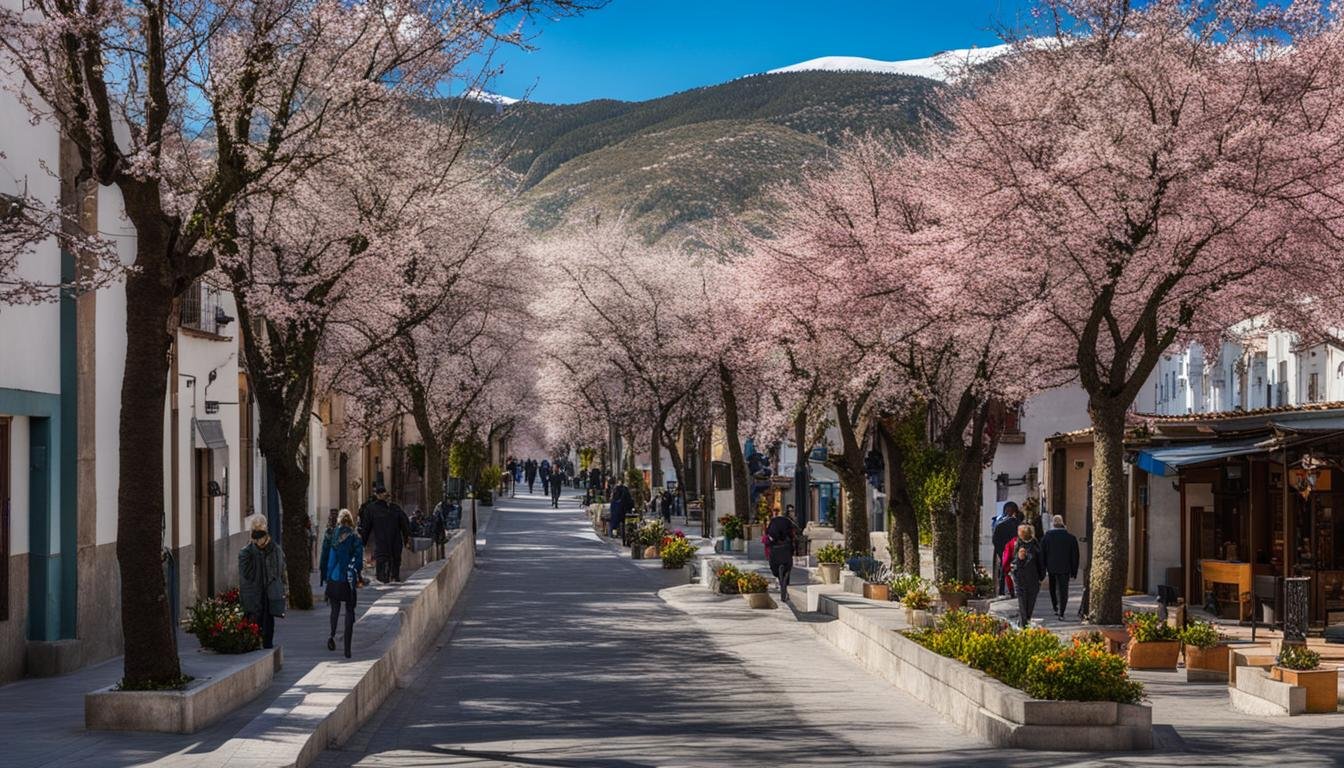 San Vicente del Raspeig in February